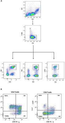 Concentric and Eccentric Endurance Exercise Reverse Hallmarks of T-Cell Senescence in Pre-diabetic Subjects